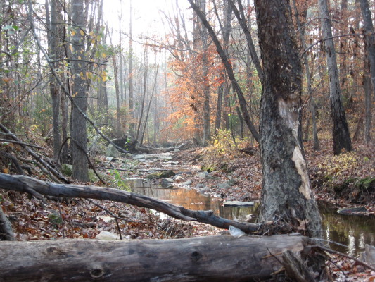 longstreet-greenway-creek-level_1_1