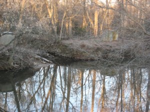 Bertie Creek hits Crabtree