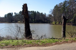 lower Longview Lake from south