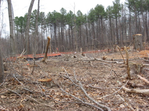 view from end of Six Forks