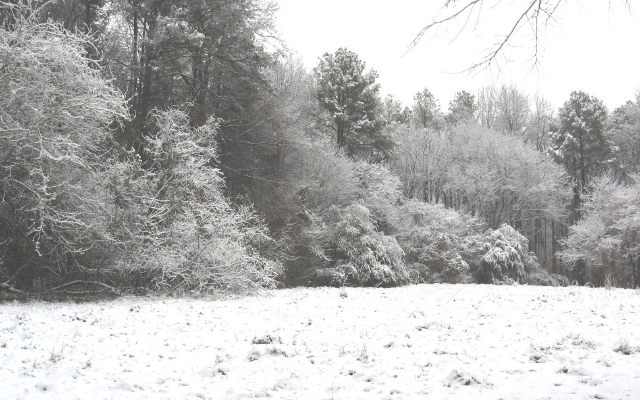 snowy-landfill-meadow_1_1