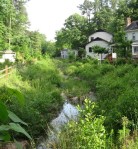 Big Branch above Mapleridge_1_1