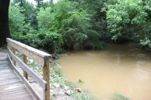 Walnut Creek greenway at Rose Lane