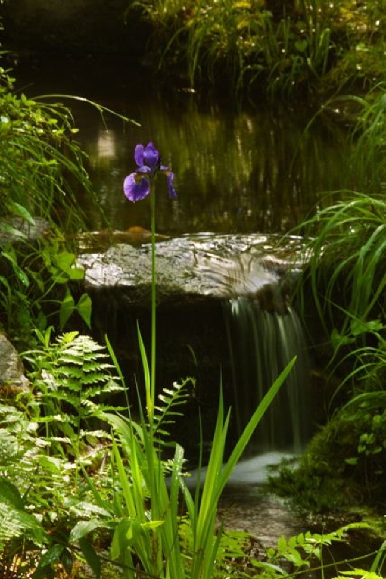 photograph by David Spain