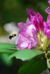 photograph by David Spain