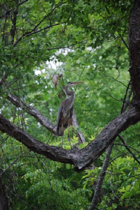 photograph by David Spain