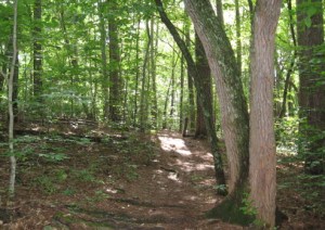 Brookhaven Trail_1_1