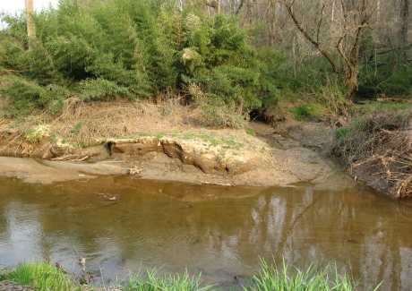 Sandy beach on Walnut Creek east of State Street