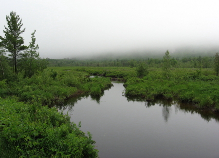 Acadia interior creek_1_1