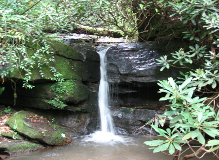 creek into Broad_1_1