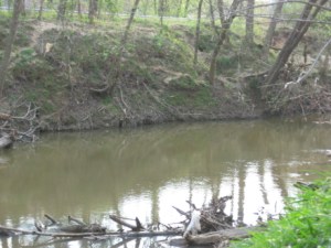 gar hole 3-24-07_1_1