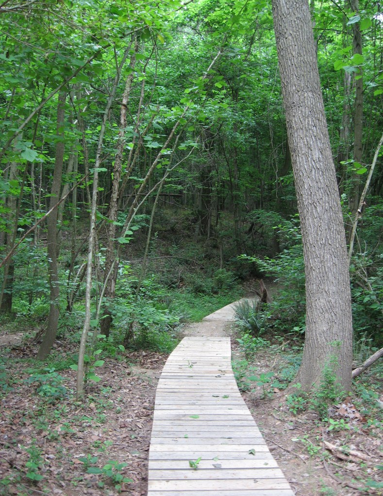 House Creek boardwalk