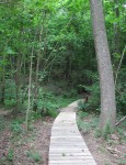 House Creek boardwalk