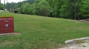 Blue Ridge road connector