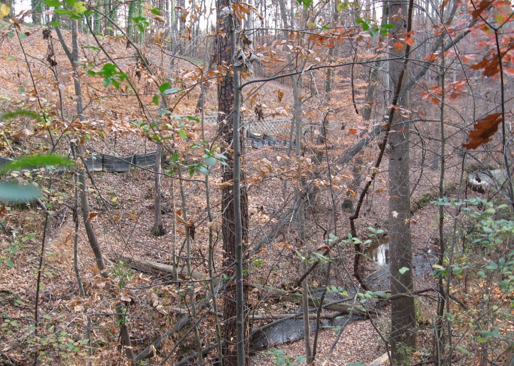 House Creek slope near Beltline