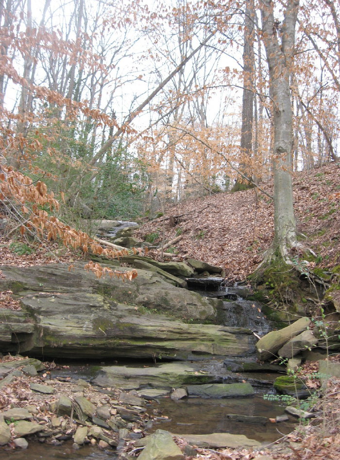 Ridge road tributary joins House Creek