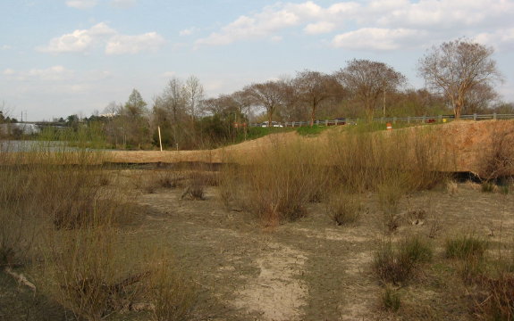 dry area behind sewer dam_1_1