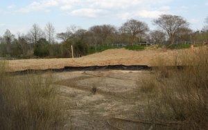 new dry area at Raleigh Swamp_1_1