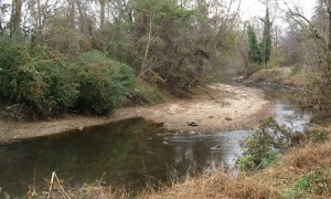 beach at hackberry grove by Crabtree
