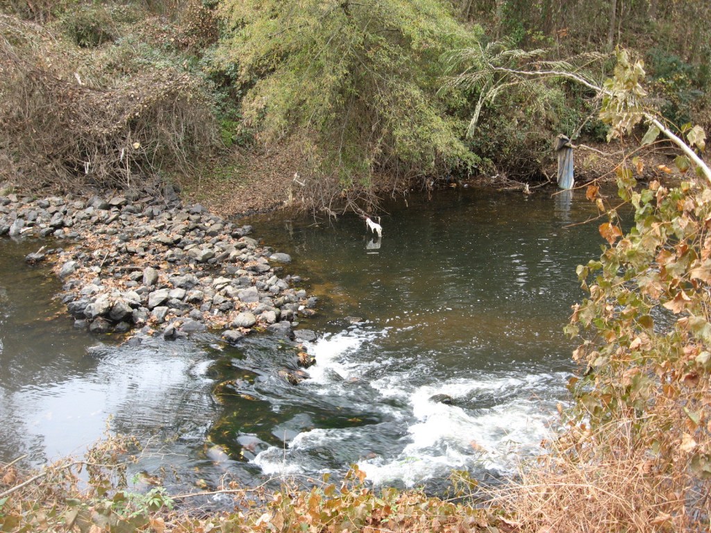 lower rockfall on Crabtree below Raleigh Boulevard