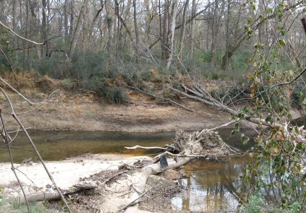 Crabtree Creek constricted at turn