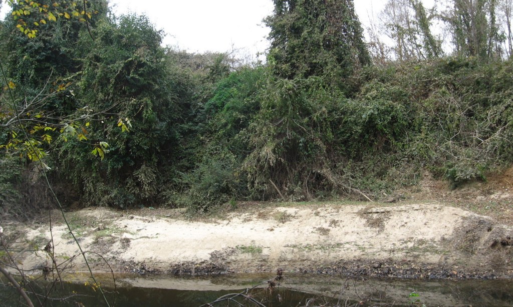 new Buckeye beach off Ral blvd