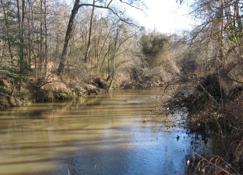 Crabtree past New Bern Ave