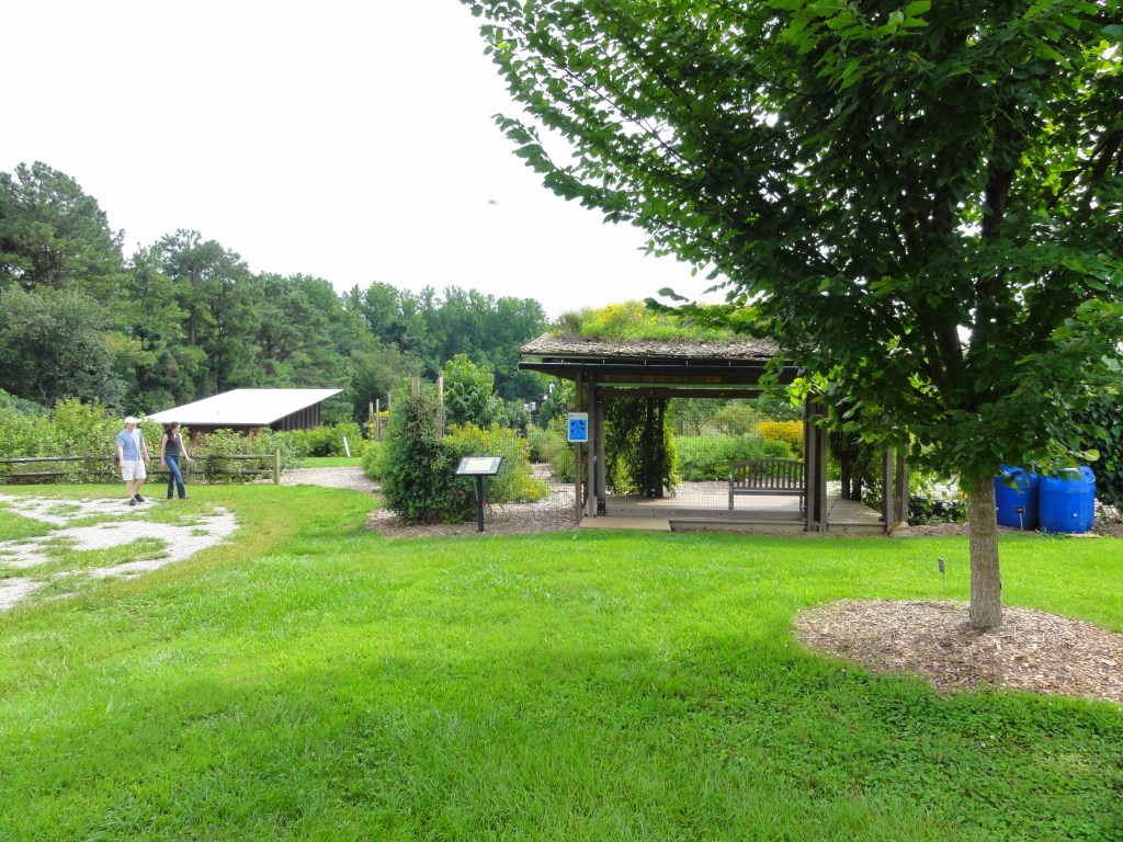 Prairie Ridge garden