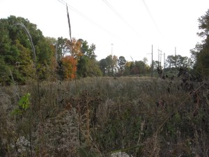 field below New Hope
