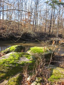 rocks by lower Crabtree