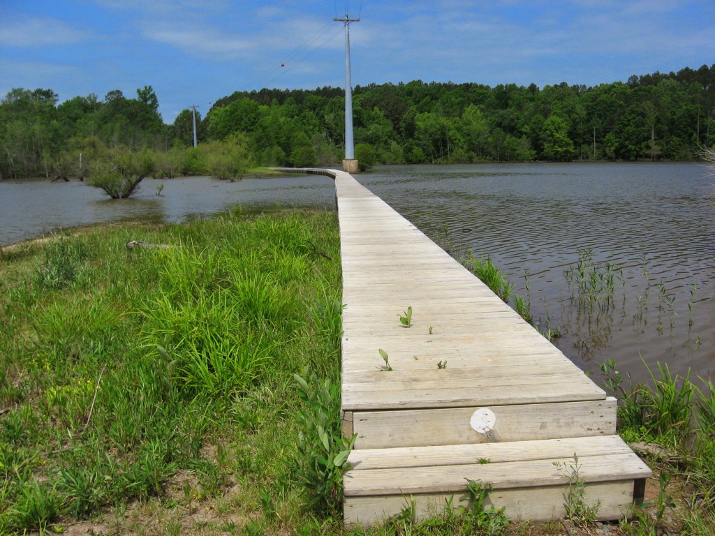 Lick Creek footbridge