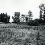 NCSUCollegeofNaturalResources