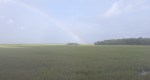 Edisto Island rainbow