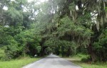 Hwy 174 Edisto&nbsp;Island